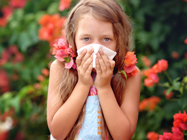 Everything You Need to Know About Measles